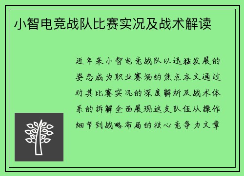 小智电竞战队比赛实况及战术解读